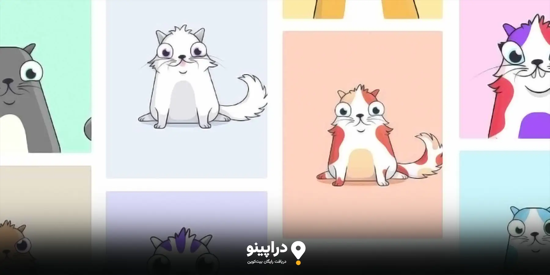 کریپتو کیتیز (Crypto Kitties): کلکسیون دیجیتالی NFT ها