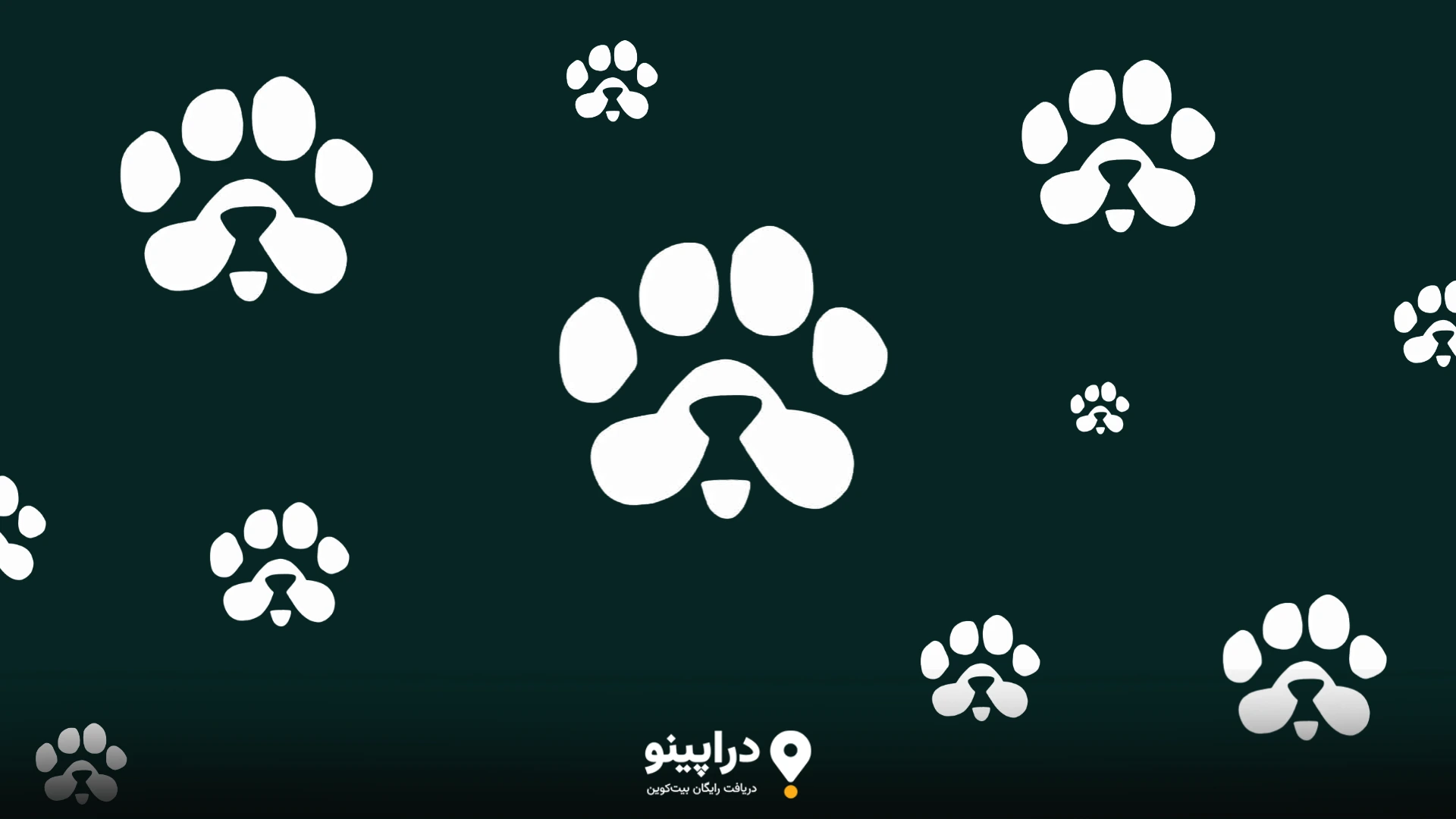 ایردراپ رایگان PAWS چیست؟