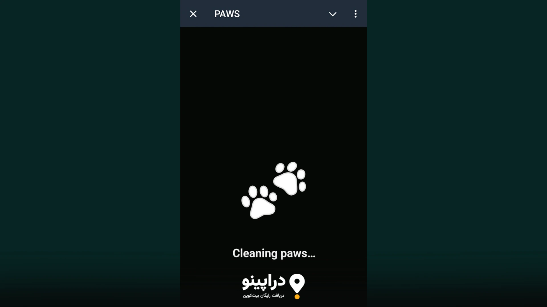 کیف پول‌های پیشنهادی برای ایردراپ PAWS