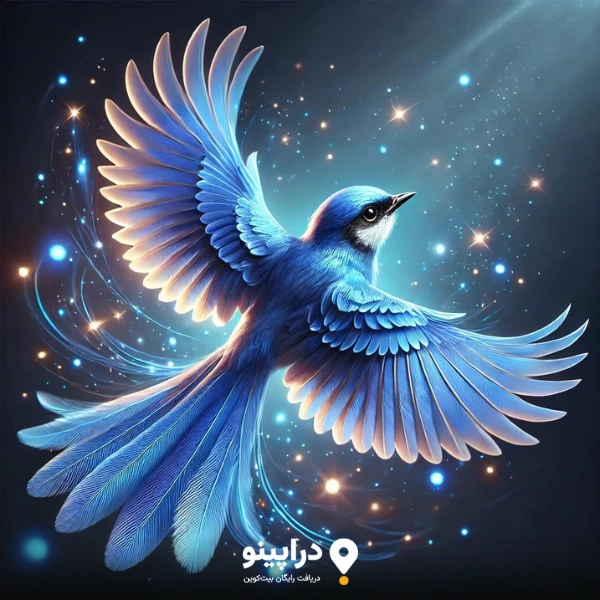 دریافت ایردراپ BIRD